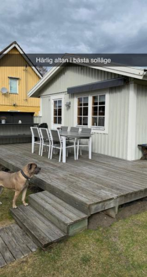Villa Sus & Dus in Yngsjö